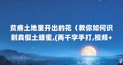 贫瘠土地里开出的花（教你如何识别真假土蜂蜜,(两千字手打,视频+图片教你辨别蜂蜜各种形态...）【教你如何识别真假土蜂蜜】