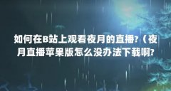 如何在B站上观看夜月的直播?(夜月直播苹果版怎么没办法下载啊?)【如何在