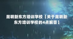 昆明新东方培训学校【关于昆明新东方培训学校的4点解答】