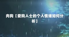 肉狗【爱狗人士的个人情绪如何分析】