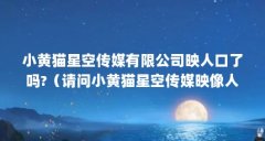 小黄猫星空传媒有限公司映人口了吗?（请问小黄猫星空传媒映像人口数据吗?）