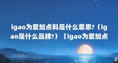 igao为爱加点料是什么意思?(igao是什么品牌?)【igao为爱加点料是什么意思?】