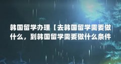 韩国留学办理【去韩国留学需要做什么，到韩国留学