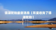 锦湖轮胎最新消息【双星收购了锦湖轮胎】