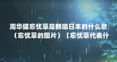 周华健忘忧草是翻唱日本的什么歌（