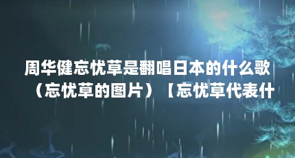 周华健忘忧草是翻唱日本的什么歌（忘忧草的图片）【忘忧草代表什么意思】