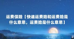 运费保险【快递运费险和运费险是什么意思,运费险是什么意思】