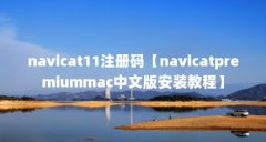 navicat11注册码【navicatpremiummac中文版安