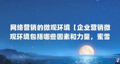 网络营销的微观环境【企业营销微观环境包括哪些因素和力量,蜜雪冰城微观营