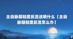 主动脉瓣轻度反流说明什么【主动脉瓣轻度反流怎么办】