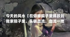 今天的风水【在你家院子里摔跤到我家院子里，头破血流，血流一地】