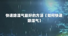 快速除湿气最好的方法【如何快速除湿气】