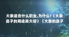 大象适合什么职业,为什么?（大象鼻子的用途真大呀）【大象的鼻子适合什么职