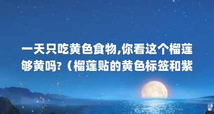 一天只吃黄色食物,你看这个榴莲够黄吗?（榴莲贴的黄色标签和紫色有什么不一样）【榴莲产业最前线-part1】