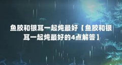 鱼胶和银耳一起炖最好【鱼胶和银耳一起炖最好的4点解答】