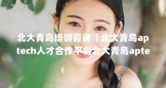 北大青鸟培训咨询【北大青鸟aptech人才合作平台北大青鸟aptech人才合作平台】