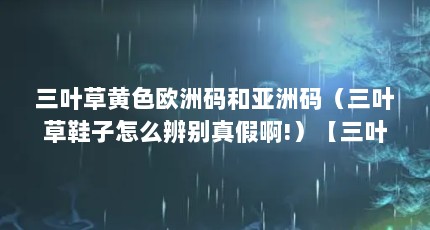 三叶草黄色欧洲码和亚洲码（三叶草鞋子怎么辨别真假啊!）【三叶草黄色欧洲码和亚洲码三叶草鞋子怎么辨别真假】