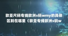 欧亚尺码专线欧洲s码wmy的具体区别在哪里（欧亚专线欧洲s码wm在线:欧亚专线支