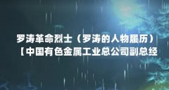 罗涛革命烈士(罗涛的人物履历)【中国有色金属工业总公司副总经理罗涛】