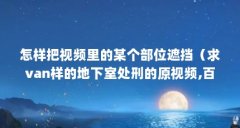 怎样把视频里的某个部位遮挡（求van样的地下室处刑
