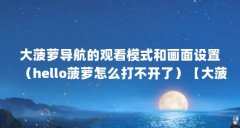大菠萝导航的观看模式和画面设置（hello菠萝怎么打不开了）【大菠萝bolo视频玩