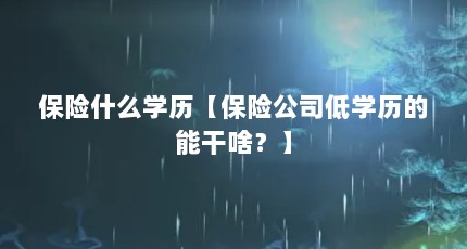 保险什么学历【保险公司低学历的能干啥？】