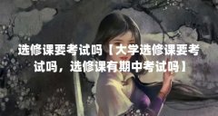 选修课要考试吗【大学选修课要考试吗,选修课有期中考试吗】