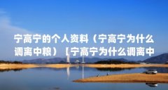 宁高宁的个人资料（宁高宁为什么调离中粮）【宁高宁为什么调离中粮】
