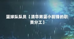 篮球队队员【清华男篮小前锋的职责分工】