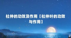 杜仲的功效及作用【杜仲叶的功效与作用】