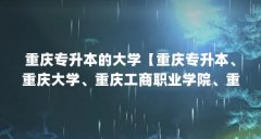 重庆专升本的大学【重庆专升本、重庆大学、重庆工