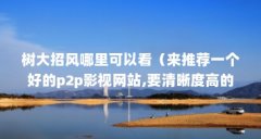 树大招风哪里可以看（来推荐一个好的p2p影视网站,要清晰度高的,600kbps以上最好