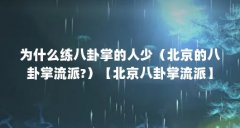 为什么练八卦掌的人少(北京的八卦掌流派?)【北京八卦掌流派】