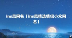 ins风网名【ins风精选情侣小众网名】