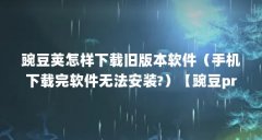 豌豆荚怎样下载旧版本软件（手机下