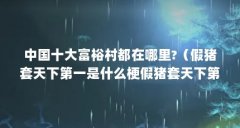 中国十大富裕村都在哪里?（假猪套天下第一是什么梗假猪套天下第一是什么意