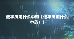 低学历用什么中药【低学历用什么中药？】
