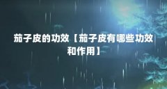 茄子皮的功效【茄子皮有哪些功效和作用】
