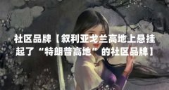 社区品牌【叙利亚戈兰高地上悬挂起了“特朗普高地”的社区品牌】