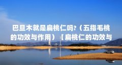 巴旦木就是扁桃仁吗?(五指毛桃的功效与作用)【扁桃仁的功效与作用】