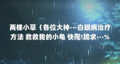 两棵小草(各位大神···白眼病治疗方法 救救我的小龟 快爬!跪求···%&am