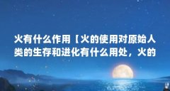 火有什么作用【火的使用对原始人类的生存和进化有什么用处,火的使用对人类