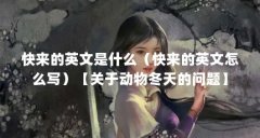 快来的英文是什么（快来的英文怎么写）【关于动物冬天的问题】