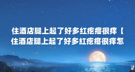 住酒店腿上起了好多红疙瘩很痒【住酒店腿上起了好多红疙瘩很痒怎么办】