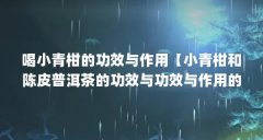 喝小青柑的功效与作用【小青柑和陈皮普洱茶的功效与功效与作用的解答】