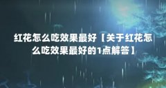 红花怎么吃效果最好【关于红花怎么吃效果最好的1点解答】