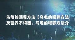 乌龟的喂养方法【乌龟的喂养方法及营养不均衡,乌龟的喂养方法介绍】