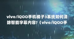 vivo/iQOO手机橘子3系统如何清除智能字