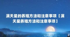 满天星的养殖方法和注意事项【满天星养殖方法和注意事项】