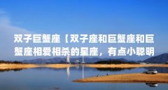 双子巨蟹座【双子座和巨蟹座和巨蟹座相爱相杀的星座,有点小聪明】